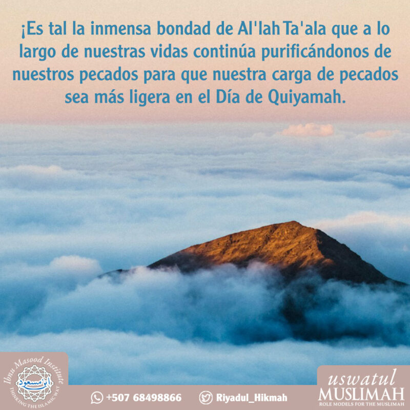 El proceso de Purificación – Uswatul Muslimah